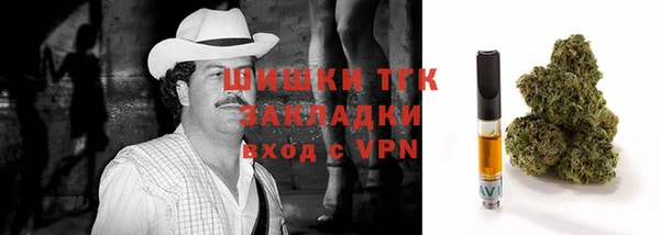 ешки Снежинск