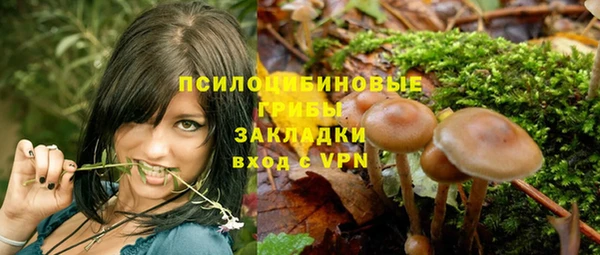 стаф Снежногорск