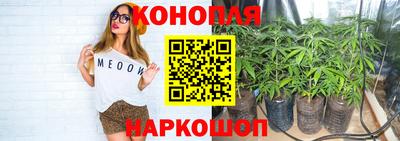 spice Чапаевск