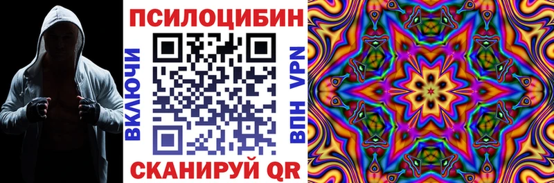где купить   Радужный  Галлюциногенные грибы Psilocybe 