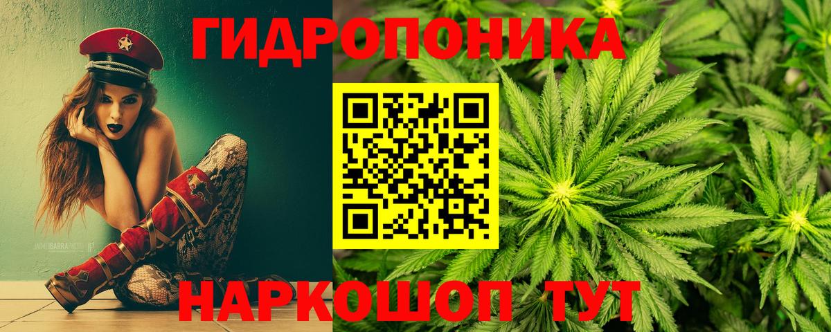 Шишки марихуана OG Kush Радужный